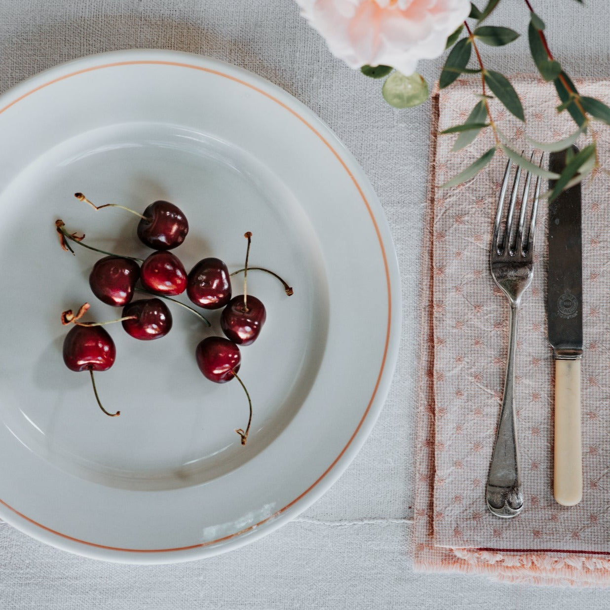 Luxury Porcelain Dinner Plate with Hand Painted Coral Line