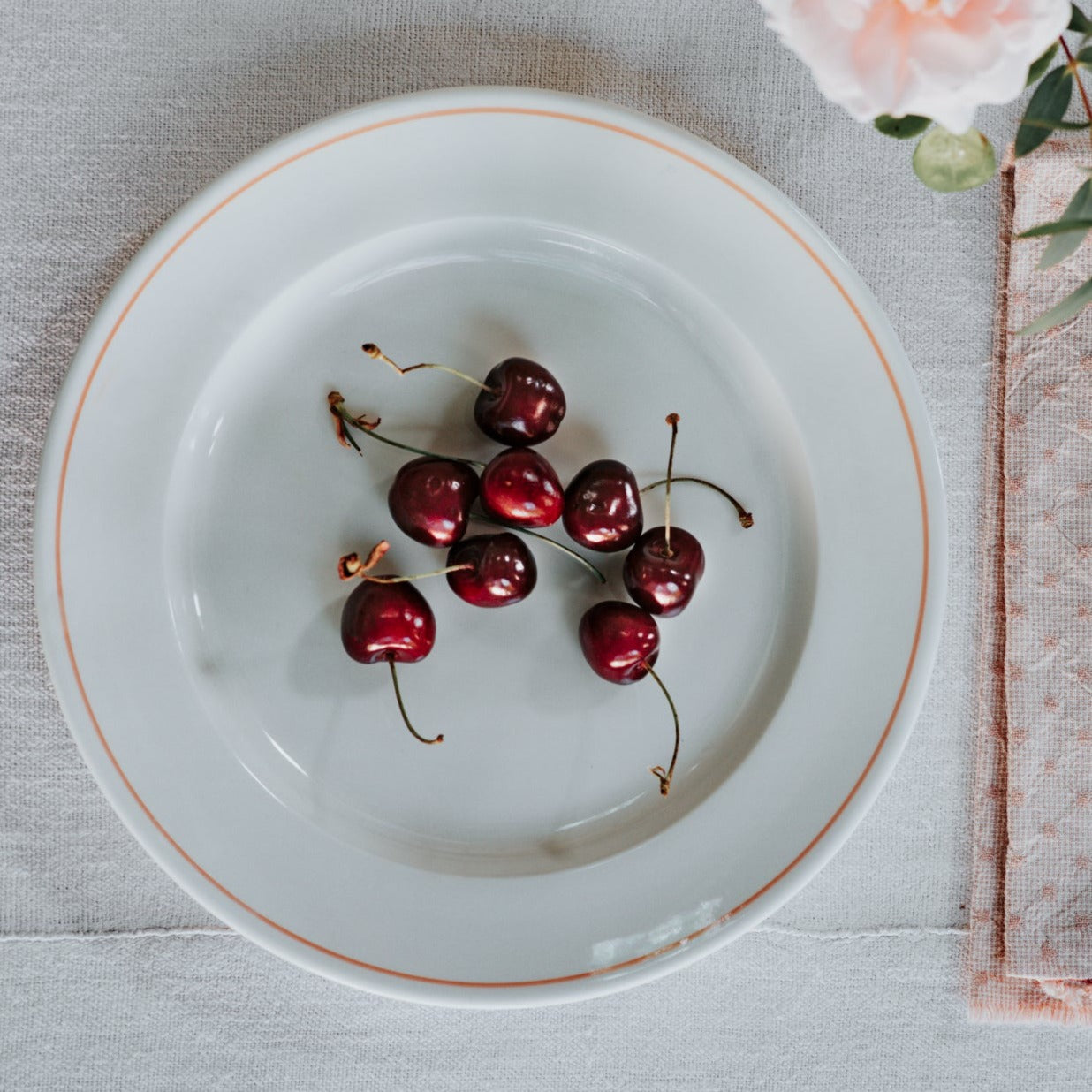 Luxury Porcelain Dinner Plate with Hand Painted Coral Line