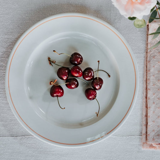Classical Porcelain Coral Line Dinner Plate - Seconds