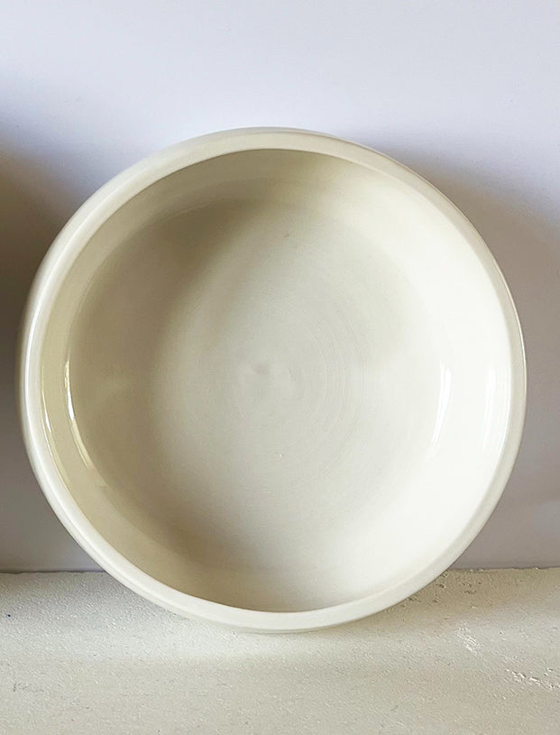 Porcelain Dog Bowl